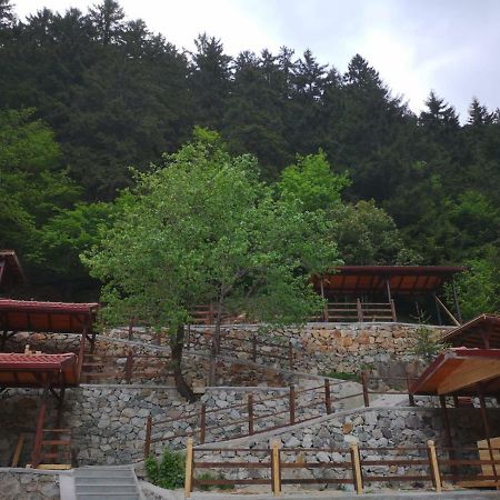 Turkuaz Apart Uzungöl Dış mekan fotoğraf